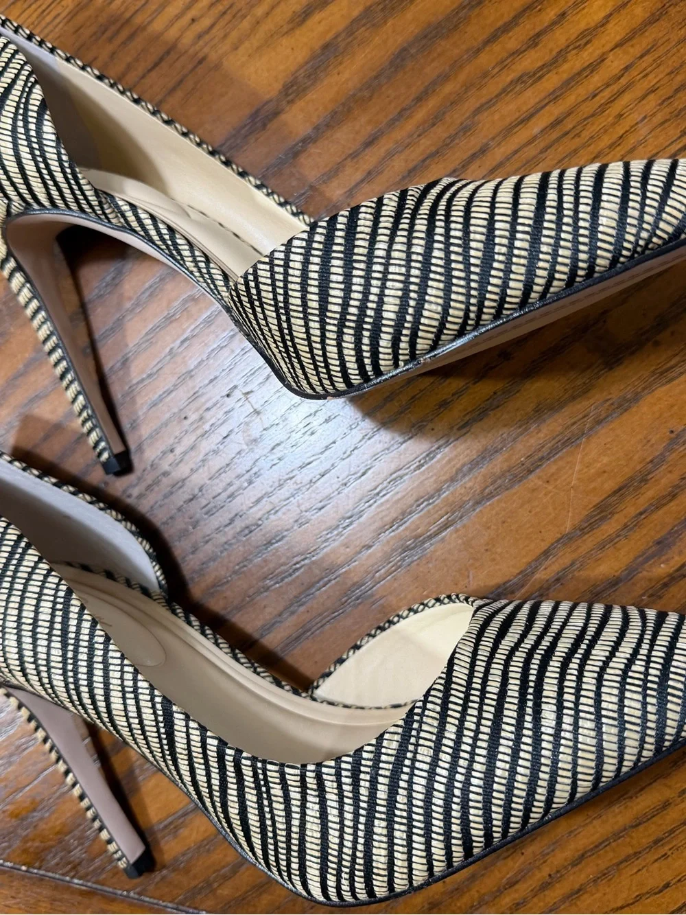 Striped Black and Nude Pointed Toe Stiletto Heels - Women